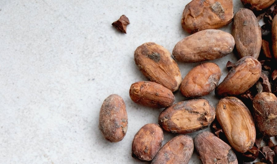 What Is Grinding And Conching Cocoa Beans
