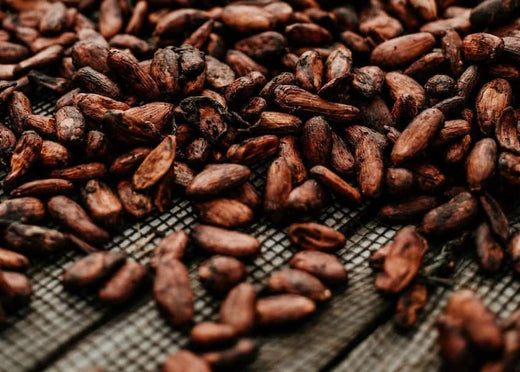 Facts About Cocoa Beans