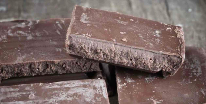What is Bloomed Chocolate?