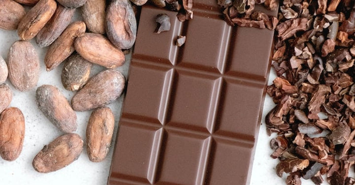 What Is Chocolate And Why Is It So Tasty?